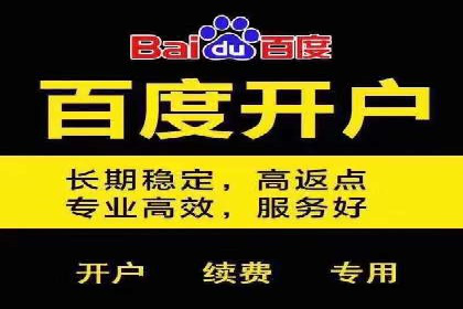 sem百度竞价成功案例：如何精准投放广告